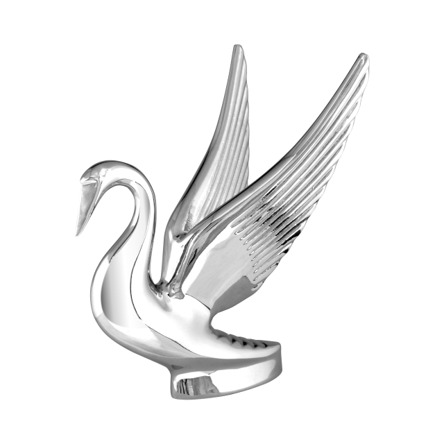 Cisne cromado