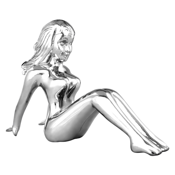 Second image of Chica cromada